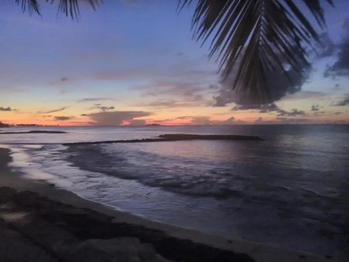 The Beach And The Birds Hotel Nassau Guest house